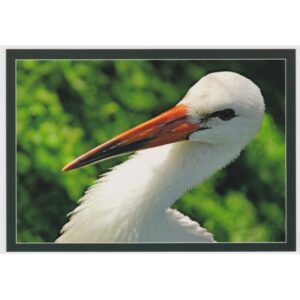 BOCIAN 16P428 - pakiet 10 szt