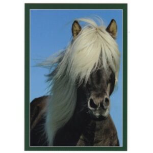 KOŃ 17P485 - pakiet 10 szt