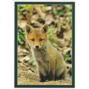 LIS 16P433 - pakiet 10 szt