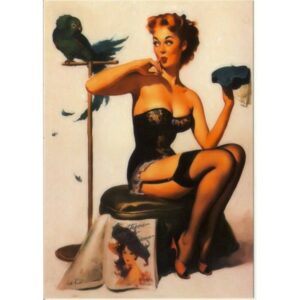 PIN UP GIRL KOBIETA I PAPUGA V14006 - pakiet 10 szt