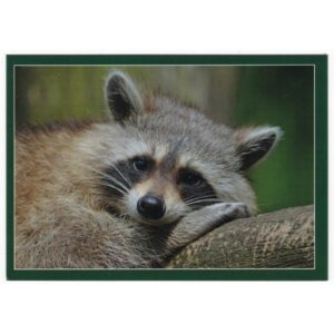 SZOP PRACZ 16P472 - pakiet 10 szt