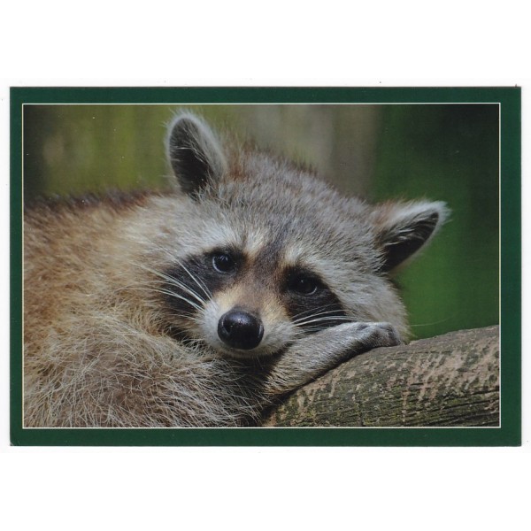 SZOP PRACZ 16P472 - pakiet 10 szt