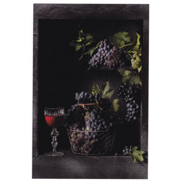 WINOROŚL I WINO R. MARCIALIS RM-16 - pakiet 10 szt