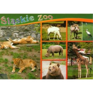 ZOO CHORZÓW 06793 - pakiet 10 szt