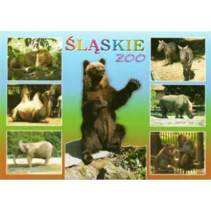 ZOO CHORZÓW 06794 - pakiet 10 szt