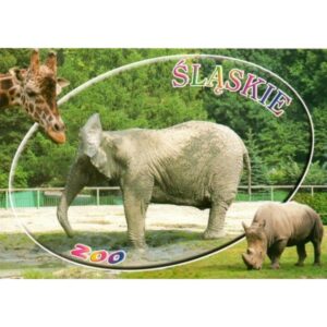 ZOO CHORZÓW 06796 - pakiet 10 szt