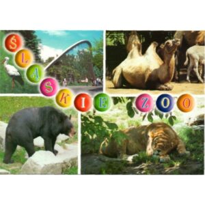 ZOO CHORZÓW 06797 - pakiet 10 szt