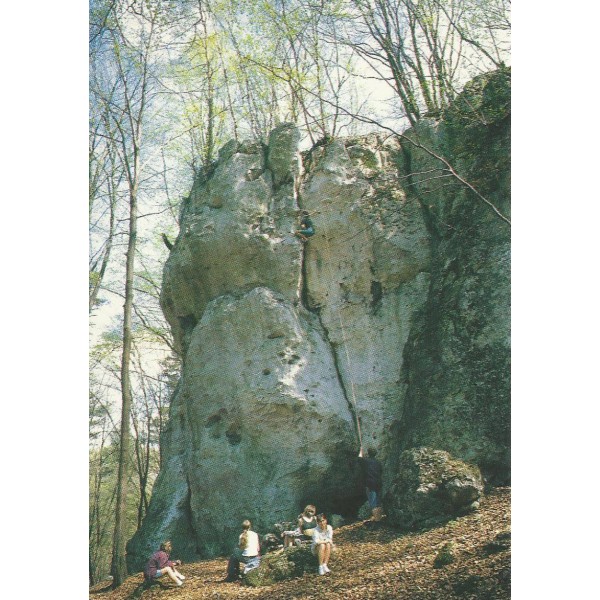 OSTRĘŻNIK 97184 - pakiet 10 szt