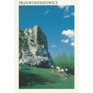 PRZEWODZISZOWICE STRAŻNICA 97182 - pakiet 10 szt