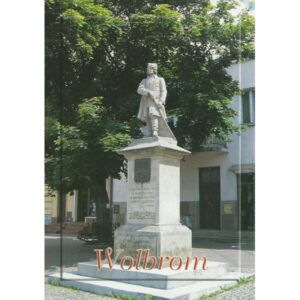 WOLBROM RYNEK 06779 - pakiet 10 szt