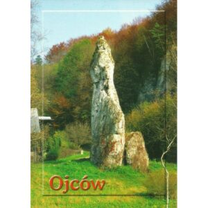 OJCÓW IGŁA DEOTYMY 01377 - pakiet 10 szt