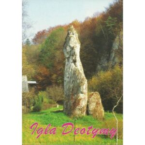 OJCÓW IGŁA DEOTYMY 97164 - pakiet 10 szt