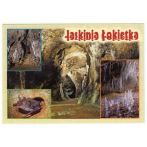 OJCÓW JASKINIA ŁOKIETKA 17P491 - pakiet 10 szt