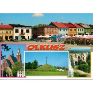 OLKUSZ 99295 - pakiet 10 szt