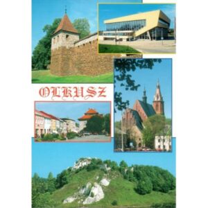 OLKUSZ 99296 - pakiet 10 szt