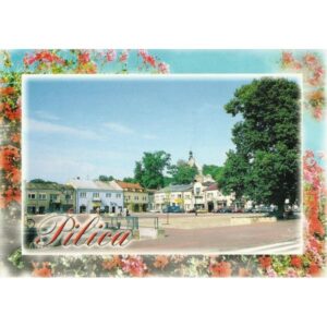 PILICA 02439 - pakiet 10 szt