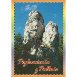 PODLESICE 04605 - pakiet 10 szt