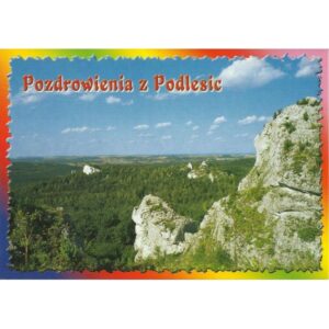 PODLESICE 04606 - pakiet 10 szt