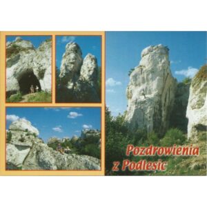 PODLESICE 06757 - pakiet 10 szt