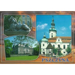 PSZCZYNA 04616 - pakiet 10 szt