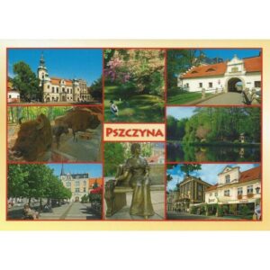 PSZCZYNA 11P337 - pakiet 10 szt