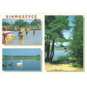 SIAMOSZYCE 98223 - pakiet 10 szt