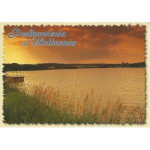 WOLBROM 03560 - pakiet 10 szt