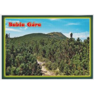 ZAWOJA BABIA GÓRA 16P442 - pakiet 10 szt