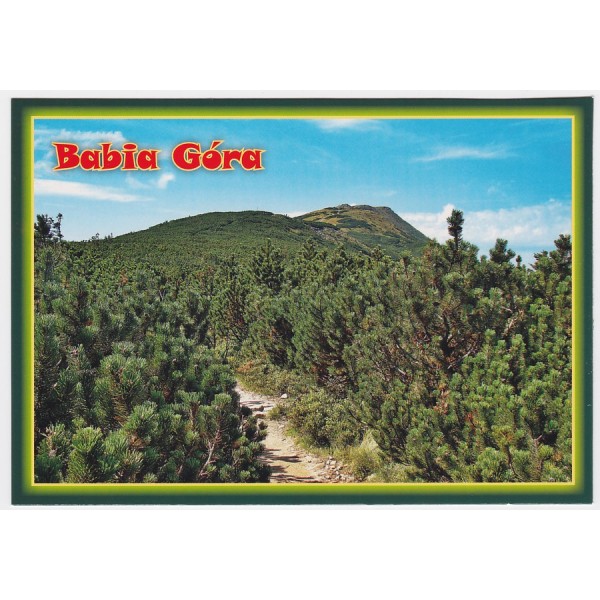 ZAWOJA BABIA GÓRA 16P442 - pakiet 10 szt