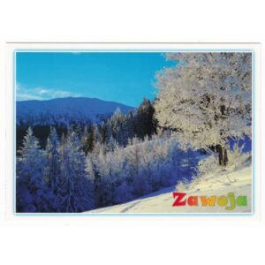 ZIMA ZAWOJA 11P355 - pakiet 10 szt