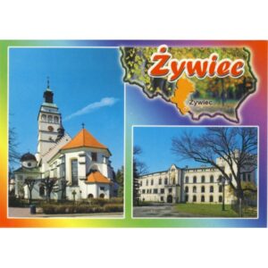 ŻYWIEC 09P168 - pakiet 10 szt