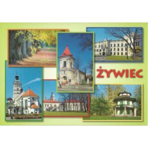 ŻYWIEC 10P280 - pakiet 10 szt