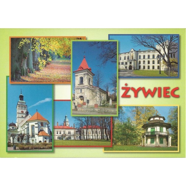 ŻYWIEC 10P280 - pakiet 10 szt
