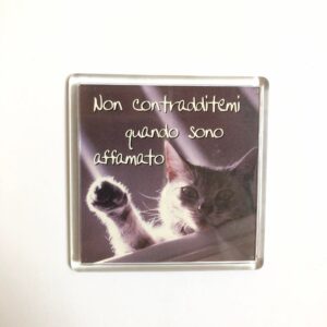 MAGNES NA LODÓWKĘ WŁOCHY SENTENCJA 6172