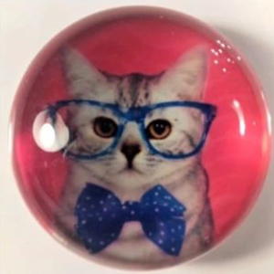 MAGNES NA LODÓWKĘ MAGNETKA KOT W OKULARACH 1434