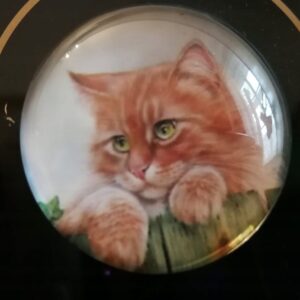 MAGNES NA LODÓWKĘ MAGNETKA KOT 1435