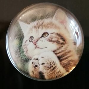 MAGNES NA LODÓWKĘ MAGNETKA KOT 1437