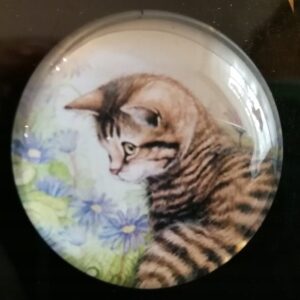 MAGNES NA LODÓWKĘ MAGNETKA KOT 1438