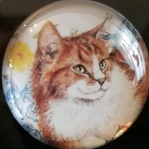 MAGNES NA LODÓWKĘ MAGNETKA KOT 1439