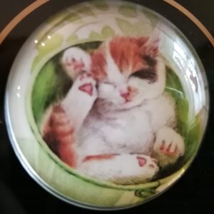 MAGNES NA LODÓWKĘ MAGNETKA KOT 1440