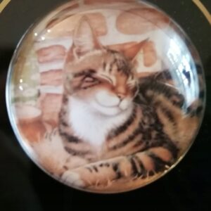 MAGNES NA LODÓWKĘ MAGNETKA KOT 1441