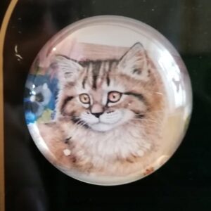 MAGNES NA LODÓWKĘ MAGNETKA KOT 1447