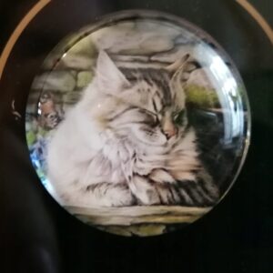 MAGNES NA LODÓWKĘ MAGNETKA KOT 1448