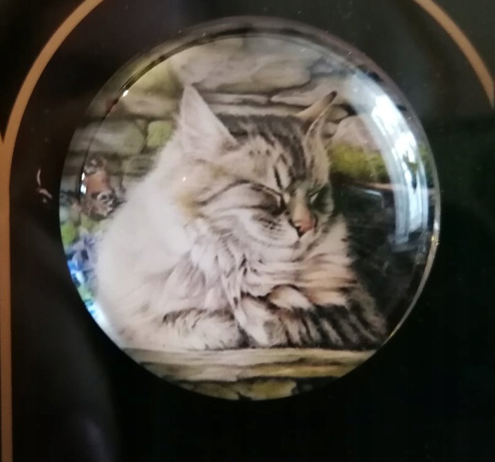 MAGNES NA LODÓWKĘ MAGNETKA KOT 1448