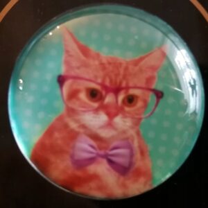 MAGNES NA LODÓWKĘ MAGNETKA KOT W OKULARACH 1429