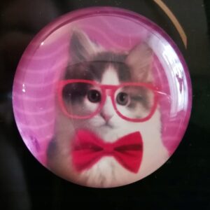 MAGNES NA LODÓWKĘ MAGNETKA KOT W OKULARACH 1432