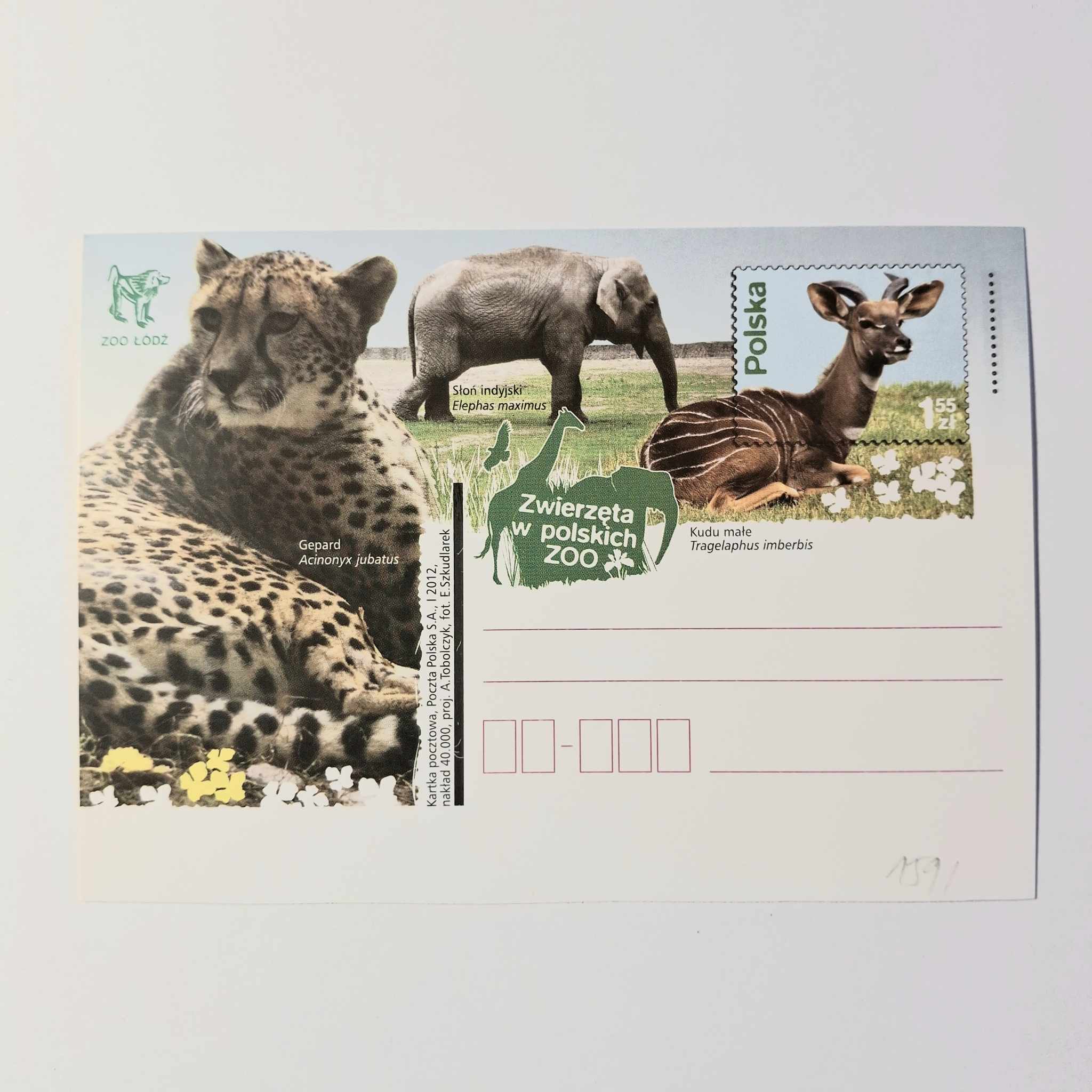 Fi 1591 całostka pocztowa Cp. Zwierzęta w polskich ZOO