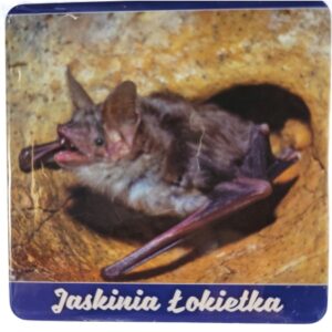 JASKINIA ŁOKIETKA MAGNES NIETOPERZ M00651