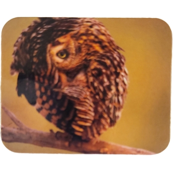 MAGNES NA LODÓWKĘ SOWA NA GAŁĘZI M13424