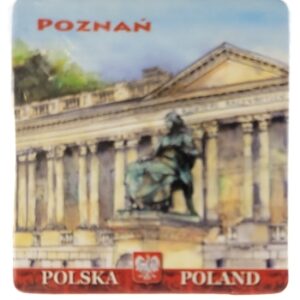 MAGNES NA LODÓWKĘ WIDOK POZNAŃ M01642